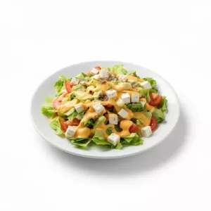 Extra Queso fetta (ensalada) product photo on white background