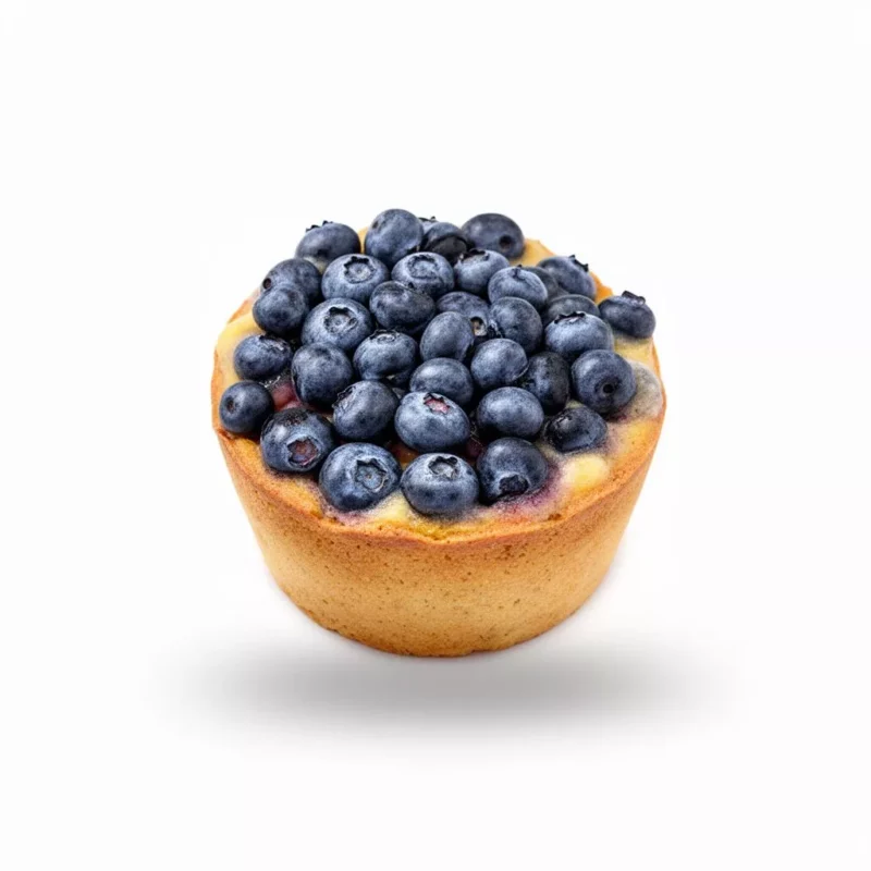 Topping Blueberry Topping Blueberry product photo on white background
